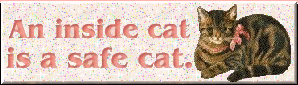 An inside cat is a safe cat