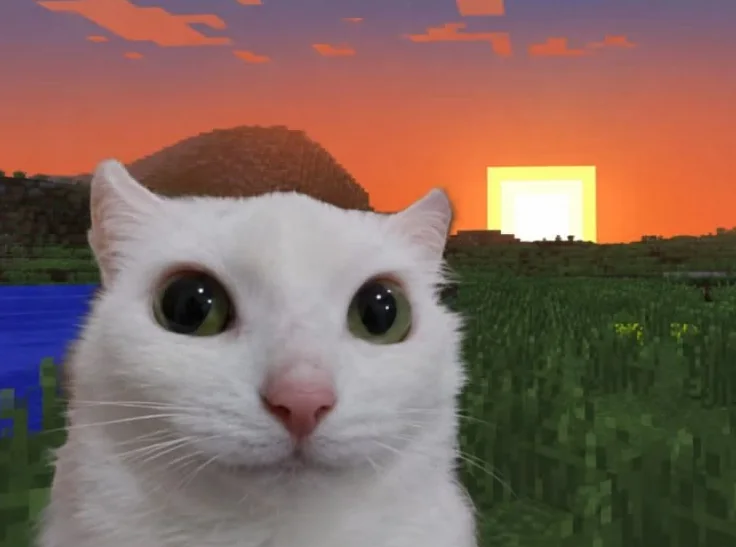 a white cat staring at the camera in front of a blocky video game sunset