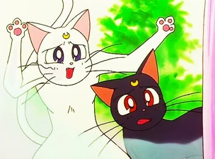 Artemis with his paws thrown up in alarm and Luna peering round a window frame, wide-eyed