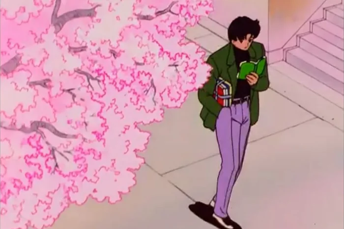 Mamoru walking past a cherry tree in full bloom with his nose in a book and more books under his arm