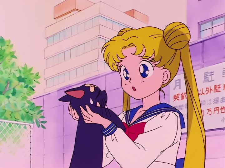 Usagi Tsukino and the cat with the crescent moon