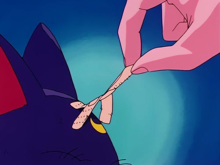 Usagi Tsukino and the cat with the crescent moon