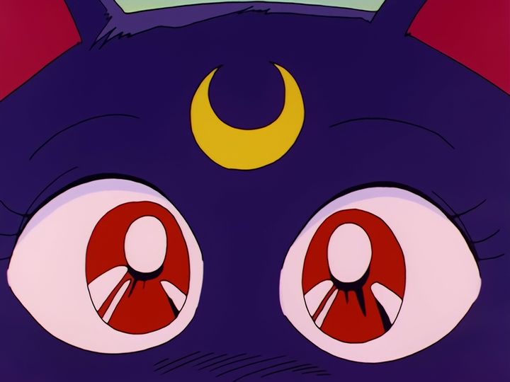 Usagi Tsukino and the cat with the crescent moon