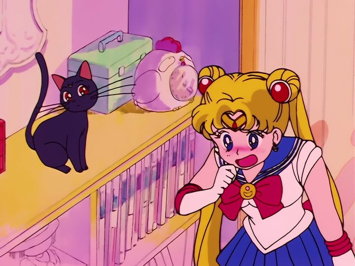 Luna, the brooch, and Moon Prism Power
