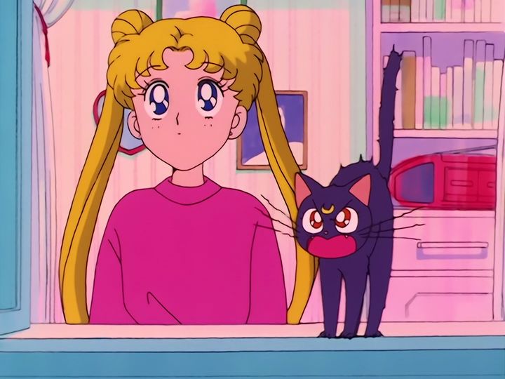 Jadeite challenges the guardians to a last battle