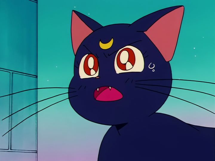Zoisite springs the trap and Nephrite chooses