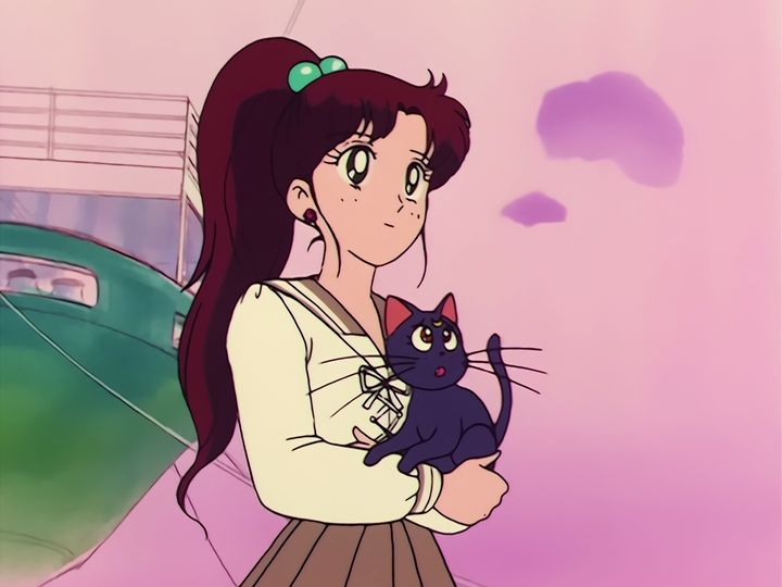 the crystal, the star locket, and Naru laughing