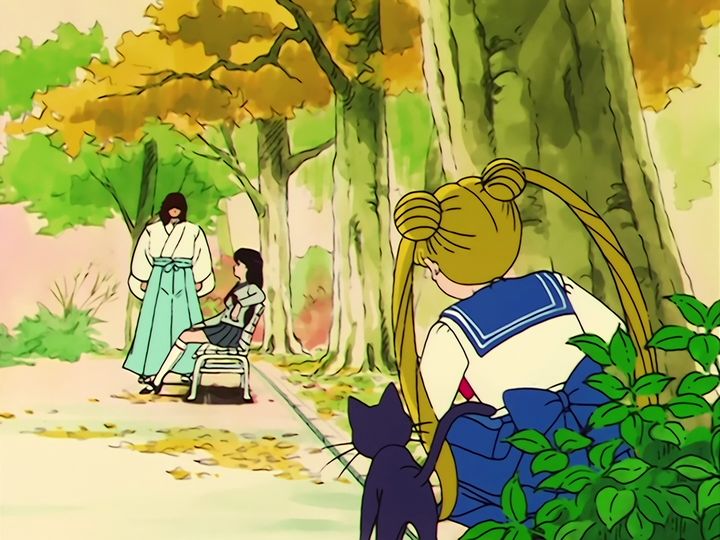 the day out, the fortune teller, and the daifuku