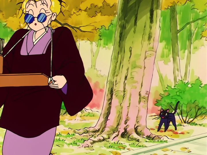 the day out, the fortune teller, and the daifuku