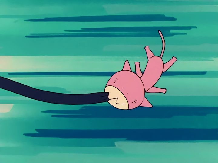 every cat in the ward, and the one that stops them