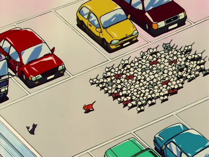 every cat in the ward, and the one that stops them