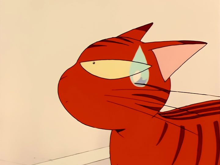 every cat in the ward, and the one that stops them