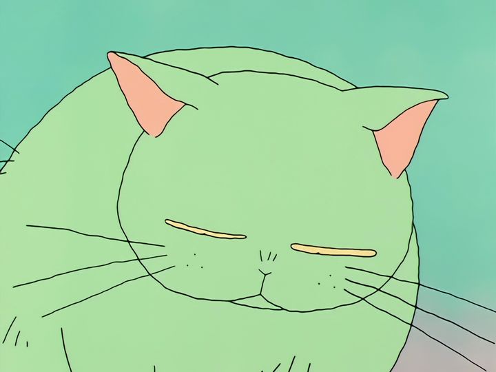 every cat in the ward, and the one that stops them