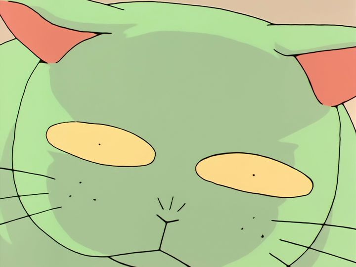 every cat in the ward, and the one that stops them
