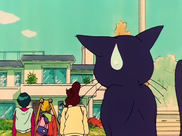 Luna in love, and a nameplate on a door