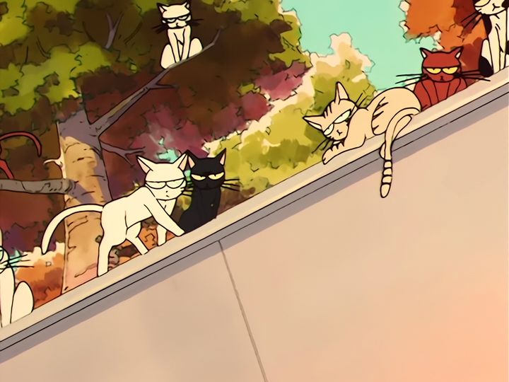 Luna in love, and a nameplate on a door