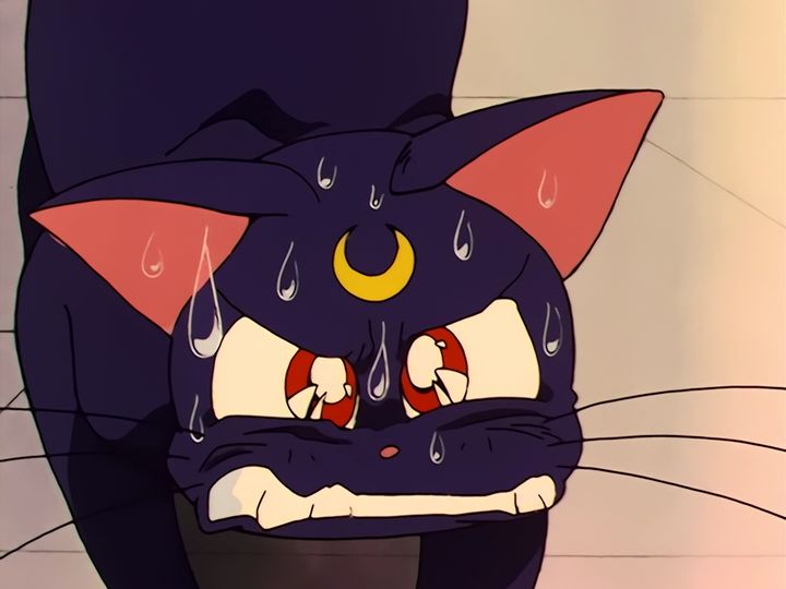 Luna in love, and a nameplate on a door