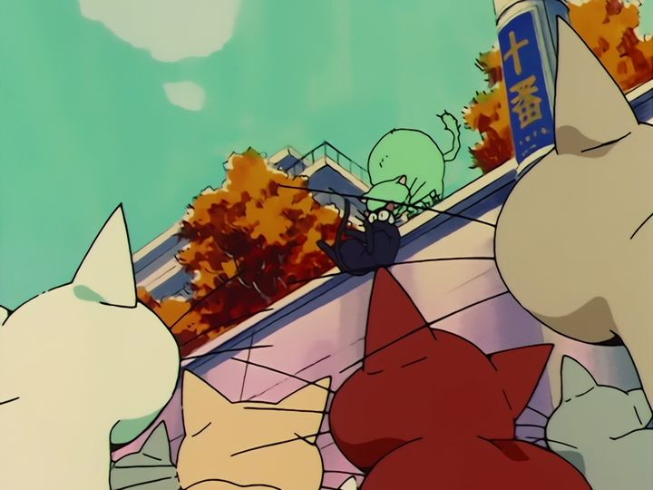 Luna in love, and a nameplate on a door