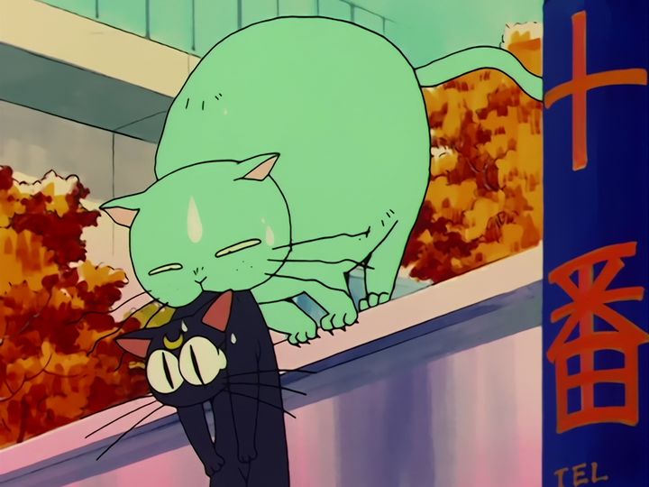 Luna in love, and a nameplate on a door