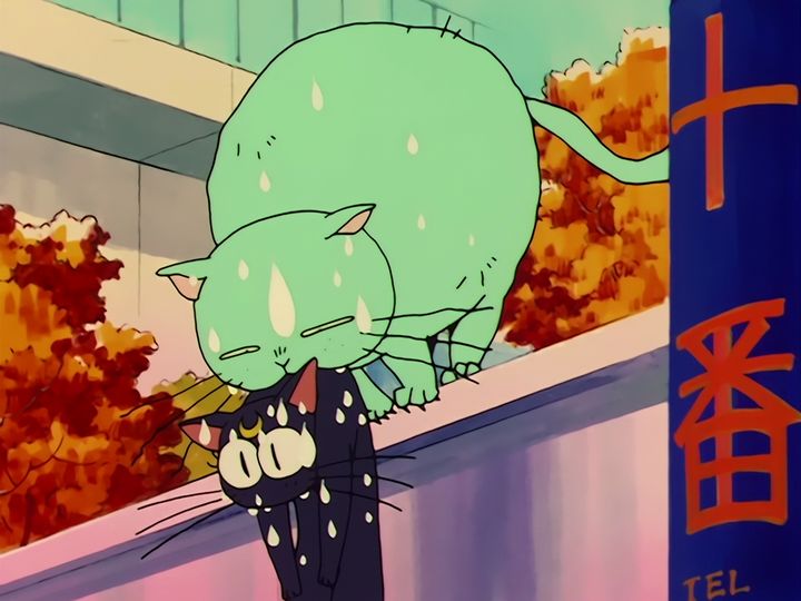 Luna in love, and a nameplate on a door