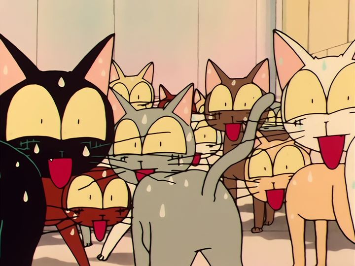 Luna in love, and a nameplate on a door