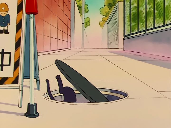 down the manhole after a cat