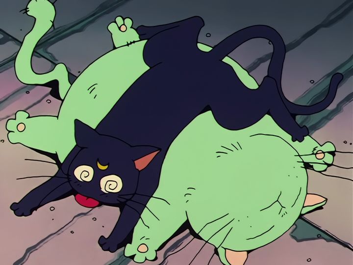 down the manhole after a cat