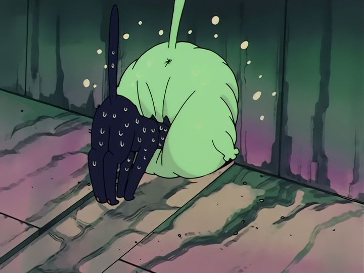 Zoisite, underground, versus the rats