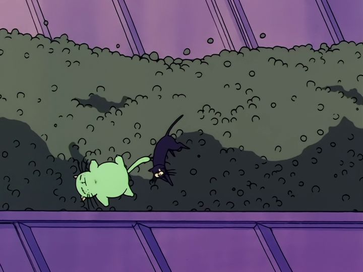buried, then up on the roof for the seventh
