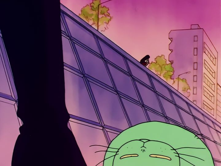 buried, then up on the roof for the seventh
