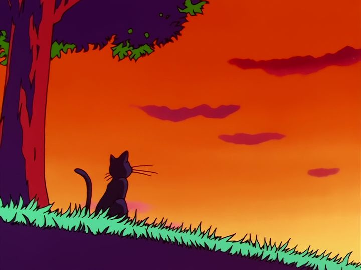 Bakene, the healing, and a very large sunset
