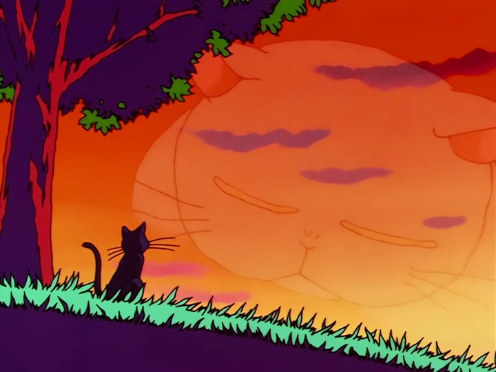 Bakene, the healing, and a very large sunset
