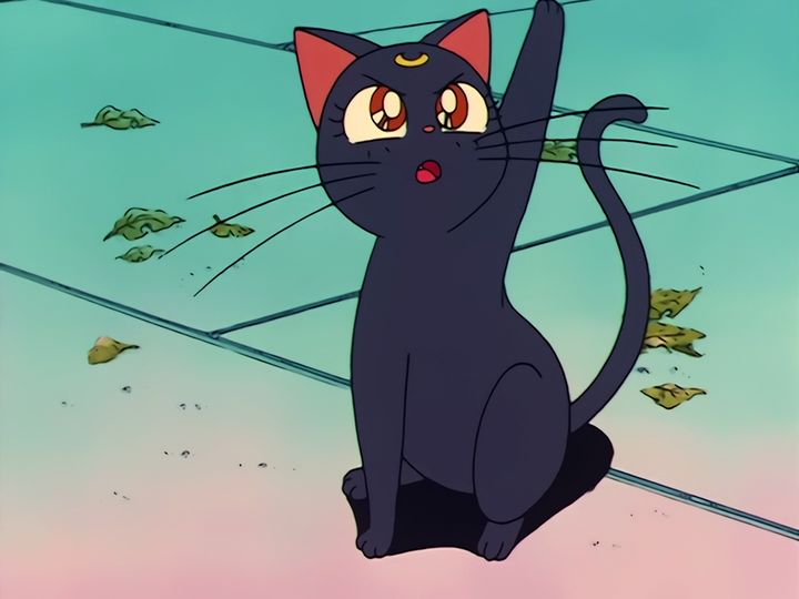Luna tells them the truth at the shrine, and the Dark Kingdom counts its shards