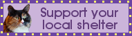 Support your local shelter