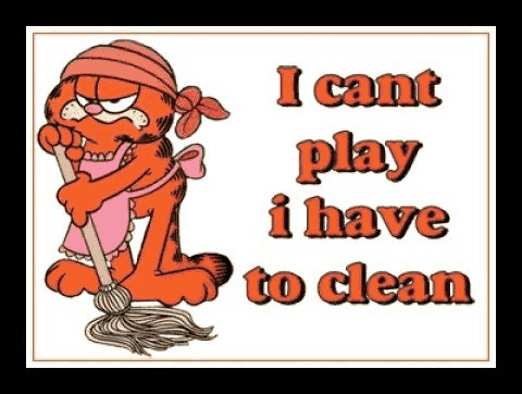 Garfield in a headscarf with a mop: &ldquo;I cant play i have to clean&rdquo;